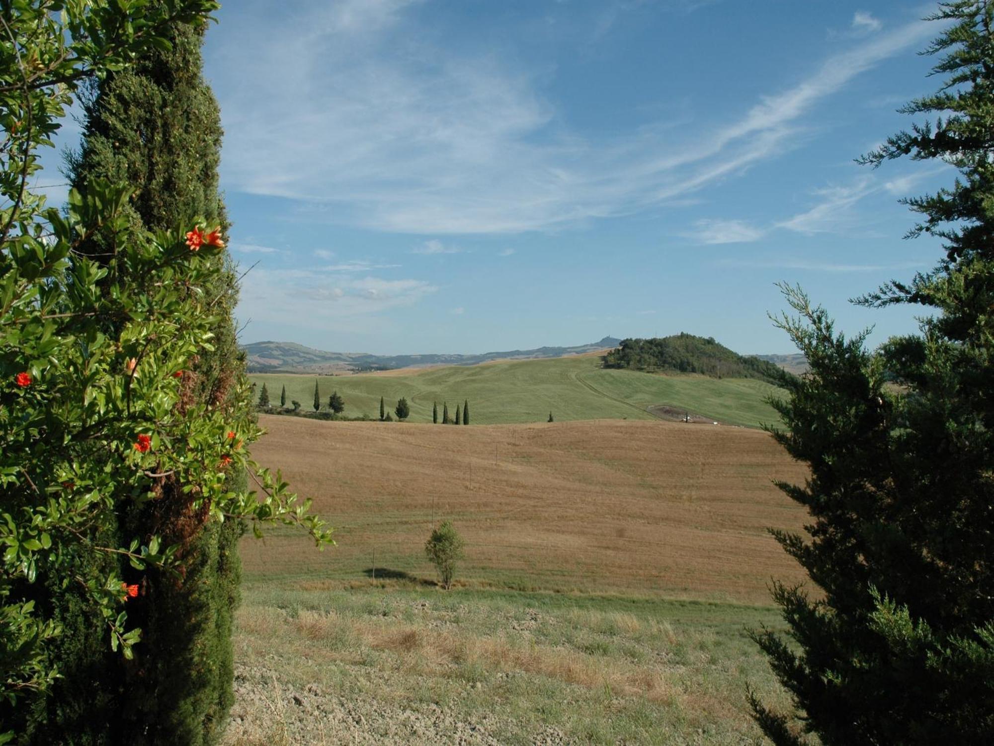 Modern Farmhouse In Pienza With Pool ภายนอก รูปภาพ